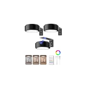 EZVALO Picture Lights for Wall, 200...