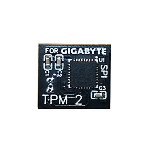 NewHail Modulo TPM2.0 LPC a 12 pin con Infineon SLB9665 per scheda madre Gigabyte compatibile con GC-TPM2.0_S