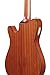 Ibanez FRH10N Thinline Nylon Acoustic-electric Guitar - Rose Gold Metallic Flat