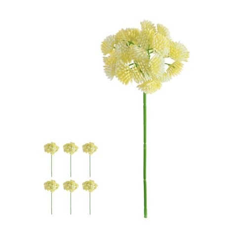 FloristryWarehouse Bundle of 6 Artificial Stonecrop or Sedum Flower Stems 20cm/8in Cream