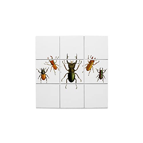 Carreaux céramique décoratifs illustration ancienne faïence d'art mural