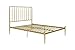 Novogratz Nicole Modern Metal Platform Bed with Tall Vertical Slat Headboard, Underbed Space for Storage, No Box Spring Needed, Queen, Gold