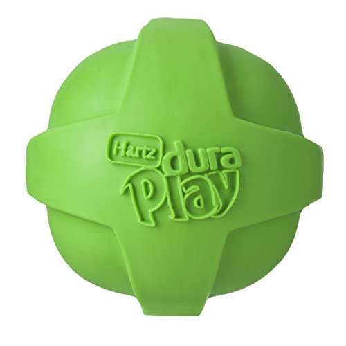 20 Best Outdoor Toys for Dogs To Entertain Themselves