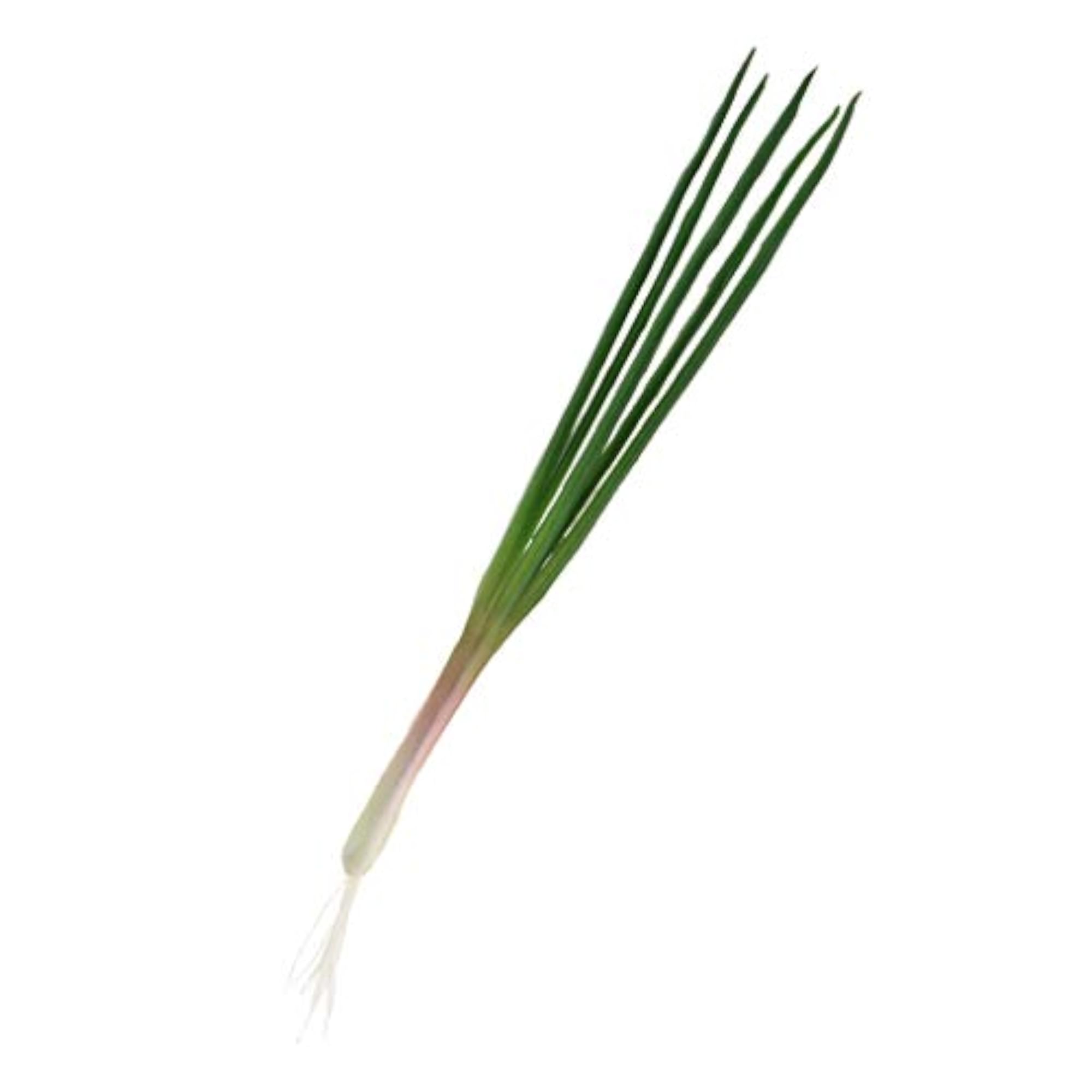 Artificial Vegetable Display Shallot for Kitchen Decor