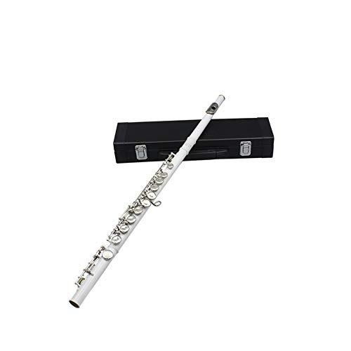 Flautas Profesionales Instrumentos Musicales Chino Dizi Transversal Flauta 16 Hoyos C Tono Clave Flauta Piccolo Flauta De Latón (Color : Silver)