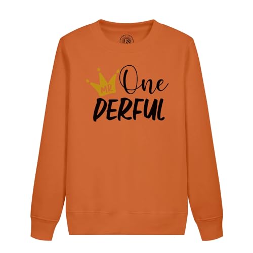 Sweatshirt enfant Mr One Derful en coton bio pour petit garcon