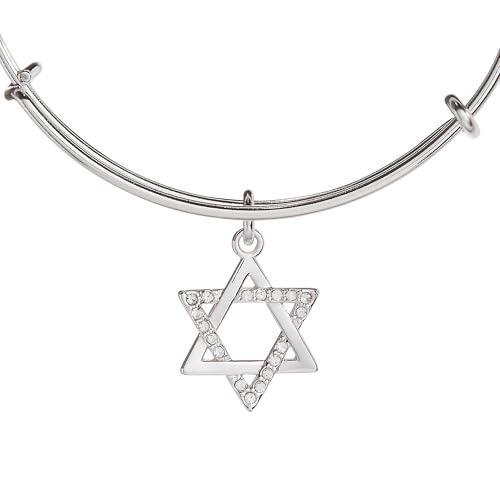 Alex and Ani Start of David Single Charm Bangle2