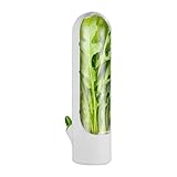 Recipiente fresco para frigorífico, para almacenamiento en frigorífico, para el perejil cilantro, espárragos mantiene las verduras frescas (blanco, talla única)