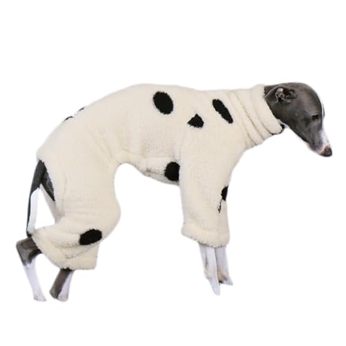 C^O ӂӂ p[X C^O ~   y  ۉ  ӂ Lk S~3XL C^AO[nEh ₷  ~js ~j`AsV[ TCgnEh qE [u  Aj} IG035