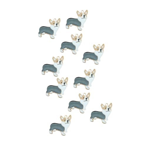 [FRCOLOR] DiyWG[ANZT[ybgR[M[y_g10fތyʖʔfUCWG[pv[gv[gp