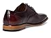 Stacy Adams Men's Palmento Cap Toe Oxford, Burgundy Multi, 9.5M