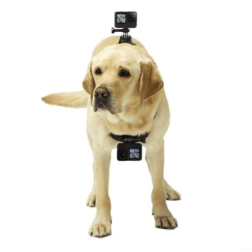 Hundegeschirr, verstellbar, weiche ABS-Weste, doppelte Fixierung, sichere Kamera-Basis für Outdoor, Wandern, Laufen, 18 x 20 x 5 cm, leicht – Bild 7