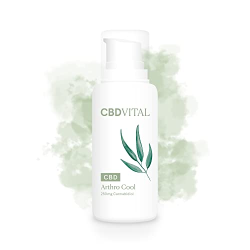 CBD Kühlende Sport Salbe | Arthro Cool | Bei Muskelschmerzen & Verspannungen | BIO Naturkosmetik | 100% vegan | 250 mg Cannabidiol | Sofort kühlend & entspannend Cover