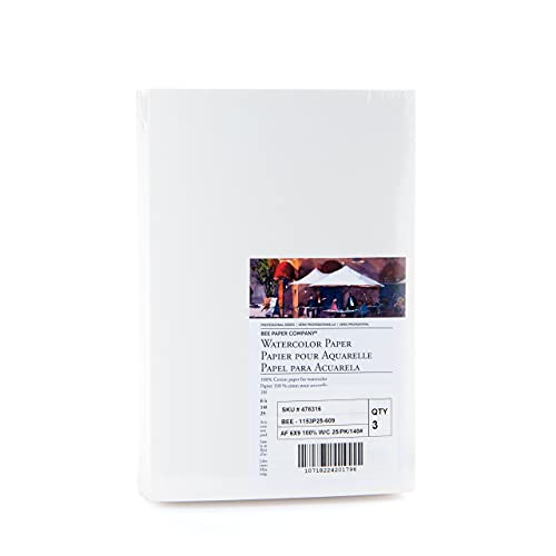 Bee Paper 100% Rag 140# Cold Press Watercolor Paper Pack, 6-Inch by 9-Inch, 50 Sheets per Pack
