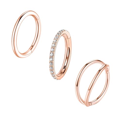 3PCS G23 Implant Grade Titanium Hypoallergenic Septum Hoop (16G/18G/20G) Double Hoop Septum Click Nose Rings Seamless Hinged Lip & Cartilage Earrings Lip Ring- Unisex Piercing Jewelry