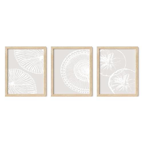 Summit Designs Seashell Wall Art Set of 3-8x10 inch Neutral Beige Coastal Prints - Beach Shell Photography - Unframed Bathroom Decor - Nautical Beach House Artwork - Coastal Home Decoration Pictures