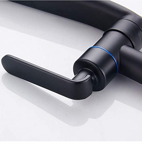 Robinet eau froide au style domestique noir avec finition mate durable