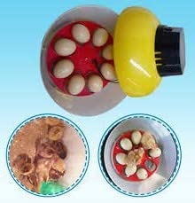 HUMBE&CO - Save Trees, Save Earth Clear 8 Incubator Hatcher Automatic Hatching Machine with Egg Turner LCD Display-UK Plug