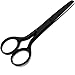 AAProTools Safety Nose Ear Mo/ustache Beard Hair Baby Craft Pet Scissors 4.25