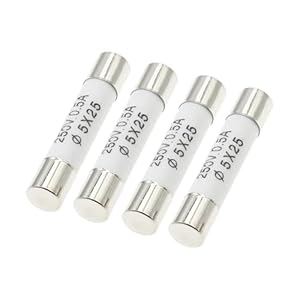 Scmyzlyd Glas-Schnellsicherung 5x25mm, 10 Stück