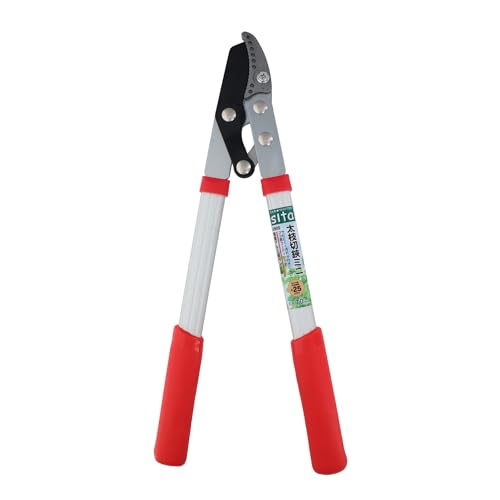 OR[|[V sita }~j A900