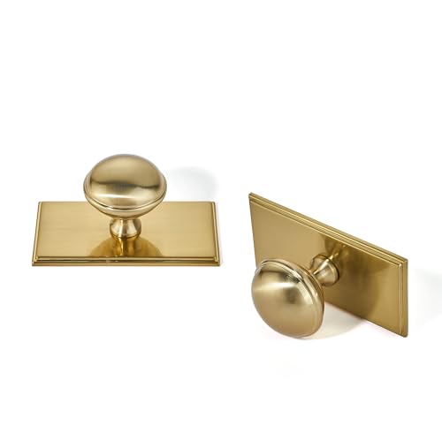 SAILING 10 Pack Cabinet Knobs- Champagne Bronze Single Hole Square Base Plate Drawer Handles Cabinet Handles Kitchen Bedroom Dresser Drawer Handles