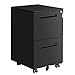 SONGMICS Gabinete de Archivos Móvil, con 2 Cajones, Cierre, para Documentos de Oficina, Carpetas Suspendidas, Premontado, 39 x 45 x 69,5 cm (Largo x Ancho x Alto), Negro Mate OFC52BK