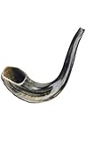 Medium Israeli Shofar Rams Horn