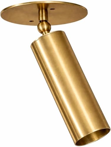 ZERIVON DECOR Adjustable Brass Spotlight Ceiling Light, Mid Century Modern Wall Spotlight Fixture, Directional Cylinder Lamp, Vintage Brass Indoor Lighting for Living Room Bedroom Kitchen (Raw Brass)