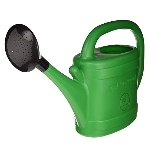 Zanvic Za552 Regadera Verde ZA552