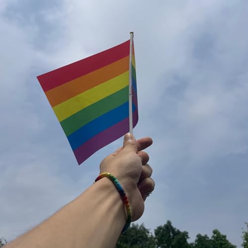Rainbow Beaded Bracelet, Pride Accessories, LGBTQ+ Gay Lesbian Queer Bi Trans Jewelry, Pride Gifts3