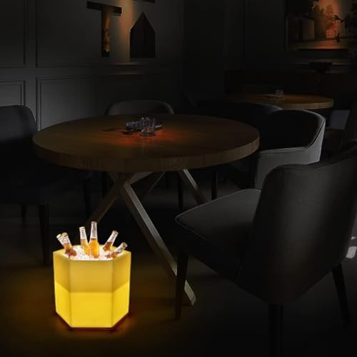 Seau à glace à LED RVB avec télécommande et étanchéité IP54 - 8