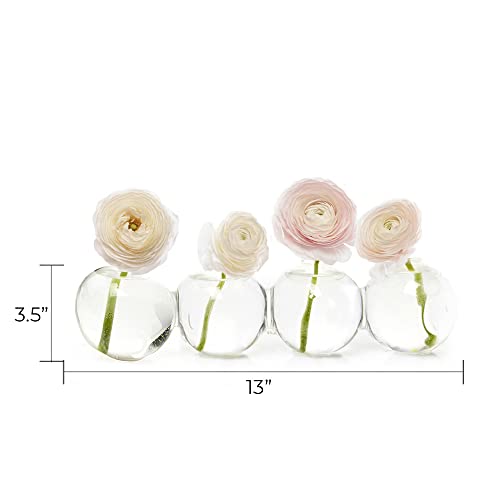 Chive ‘Caterpillar’ Multi-Chambered Flower Vase — Cute, Beautiful Glass Vase for Flowers & House Plants — Large