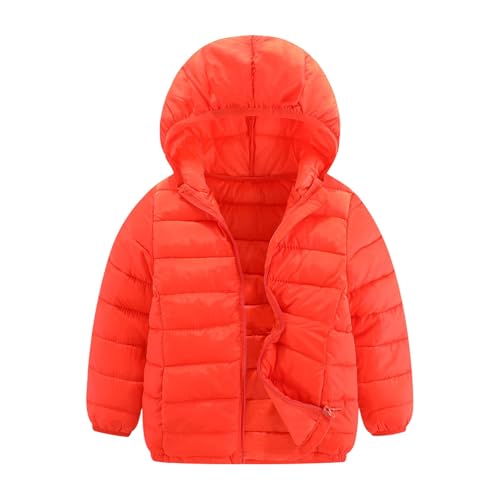 _EWPbg LbY ~ y q _ER[g j̎q ̎q h g  WPbg n  t[ht Vv AE^[ OJ WbvAbv  ̎q u] RpNg j̎q q  JWA ʊw 