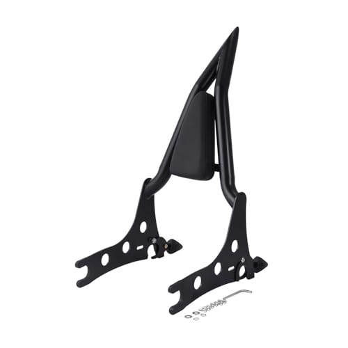 Dossier passager moto anti-fatigue et porte-bagages de selle pour Chieftain