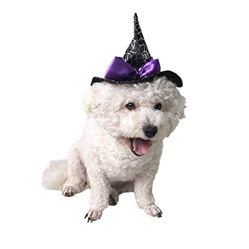 Sombrero de Bruja para Perro Halloween BinaryABC miniatura 2