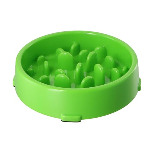 Comederos Perros Grandes Ansiosos Marca Rapidbok