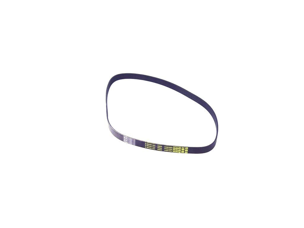 Amazon.com: Serpentine Belt : Automotive