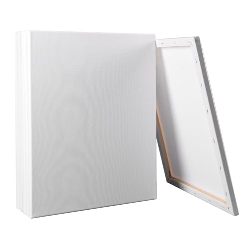 6PCS Pre-Stretched Cotton Artist Canvas Frame - Triple Primed, Acid Free, Medium Grain Professional for Acrylic and Oil Painting (20CM X 30CM)