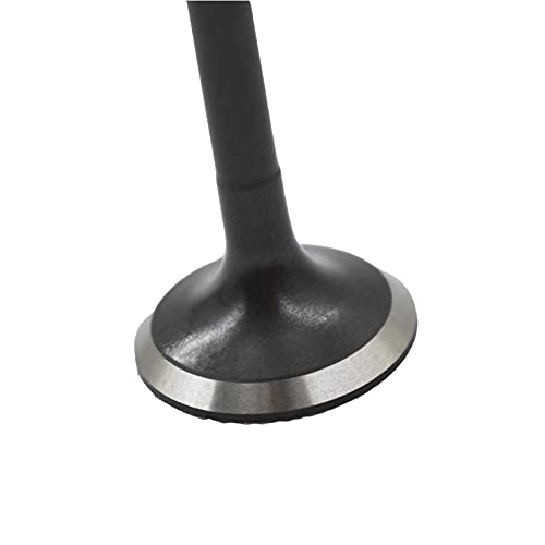 Wflnhb Intake & Air-Out Engine Valves Kit Replacement For 1992-2005 Honda Civic Sohc 1.6L 1.7L #TOP4