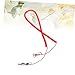 BCOATH 8 Meter Elastic Parrot Training Leash Bite Rope Adjustable Bird Harness for Outdoor Activities for Parrots and Other Birds Random Color
