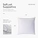 Acanva Decorative Throw Pillow Inserts for Sofa, Bed, Couch and Chair, Square Euro Sham Form Stuffer with Premium Polyester Microfiber, 2 Count (Pack of 1), White