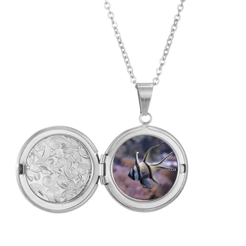 CXȊw͎R̎ʐ^ tHglbNX̓y_gANZT[JƂł܂