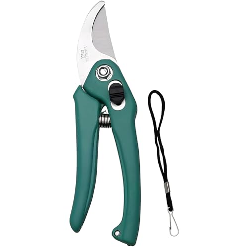 Image of Gardening Pruning Scissor /Pruners Curved Sharp Stainless Steel Blad | Hand Pruner Cutter | Wood Branch Trimmer | Heavy Duty Gardening Cutter Tool | With Safety Lock (Green Pruner)