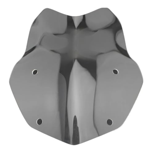 Pare-brise transparent bulle moto BMW R1200GS R1250GS