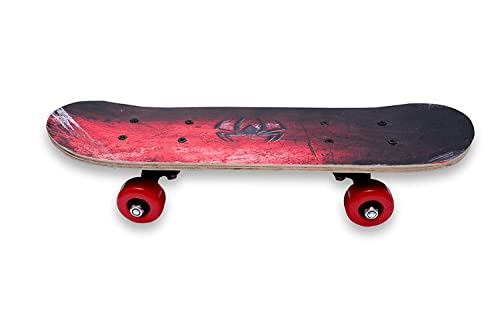 TS Playy® Skateboard, 4 Wheel Twisty 360 Degree 23″x 6″ Caster Board, Pro Standard Complete Skateboards, Unisex Lightweight Twist Board, Cool Wave Board, for Beginner/Kids/Teens/Adult (Multicolor)