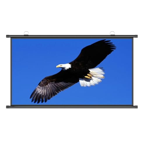 Pantalla de proyección portátil 80 pulgadas 16:9