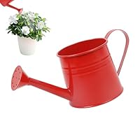 Metall Gießkanne 1 Liter - Mit Langem Ausguss Für Präzises Gießen | Blau