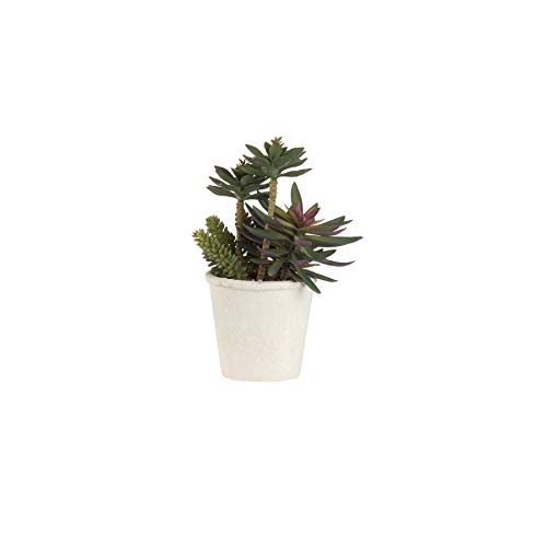 L'Oca Nera 1N13 Pianta Artificiale Cactus