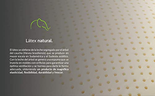 Recopilación de Lester que Puedes Comprar On-line. 12 Imagen adicional